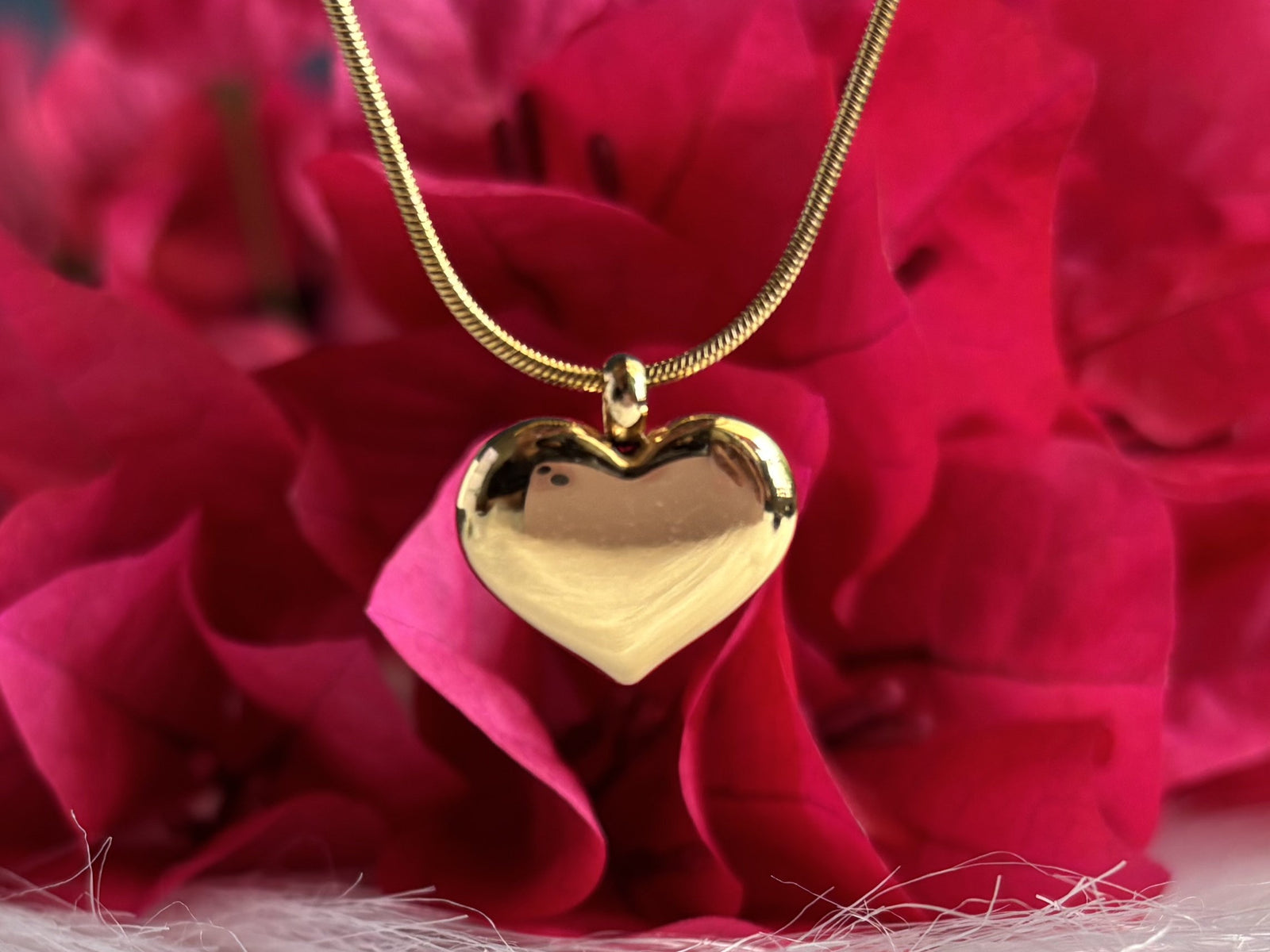 Elegant Heart Necklace